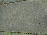 image of grave number 810508